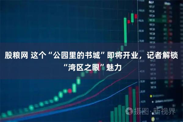 股粮网 这个“公园里的书城”即将开业，记者解锁“湾区之眼”魅力