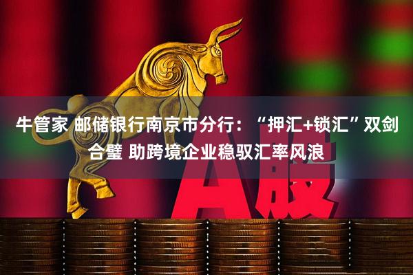牛管家 邮储银行南京市分行：“押汇+锁汇”双剑合璧 助跨境企业稳驭汇率风浪