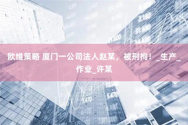 欧维策略 厦门一公司法人赵某，被刑拘！_生产_作业_许某