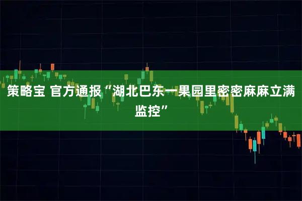策略宝 官方通报“湖北巴东一果园里密密麻麻立满监控”